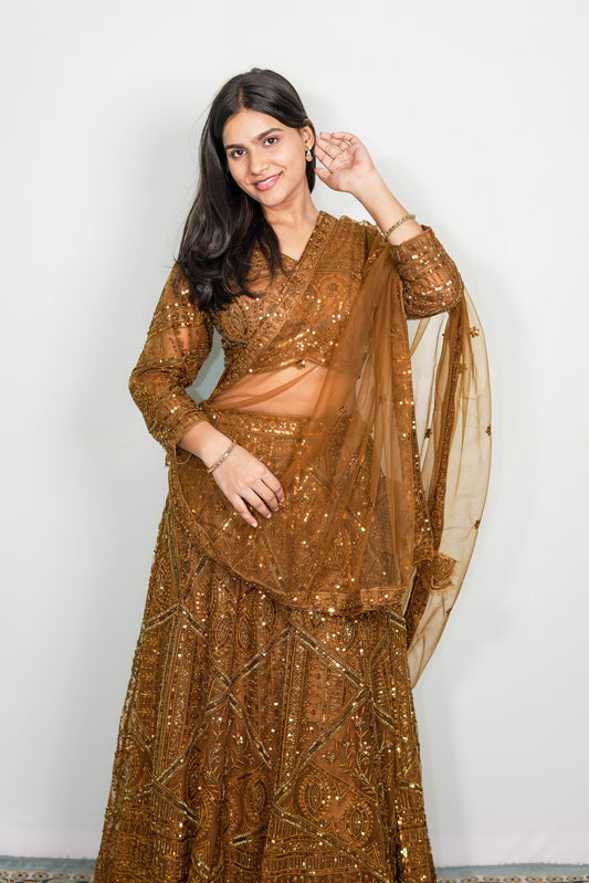 Mocha Royale Embroidered Lehenga Set